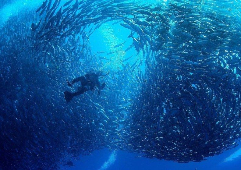 德国韦瓦（VEVA）净水器：家用净水市场的领跑者